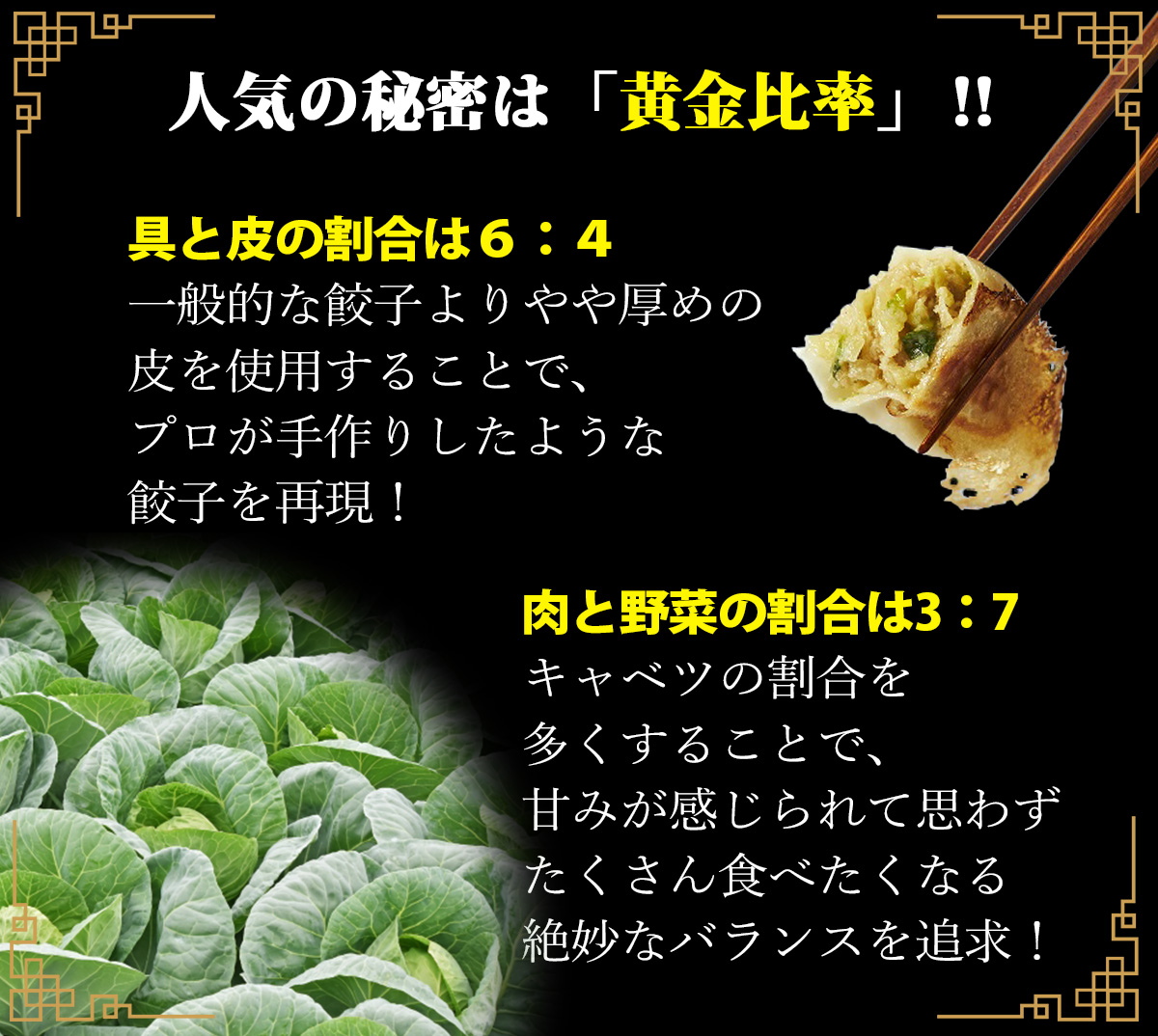 人気の秘密は黄金比率！